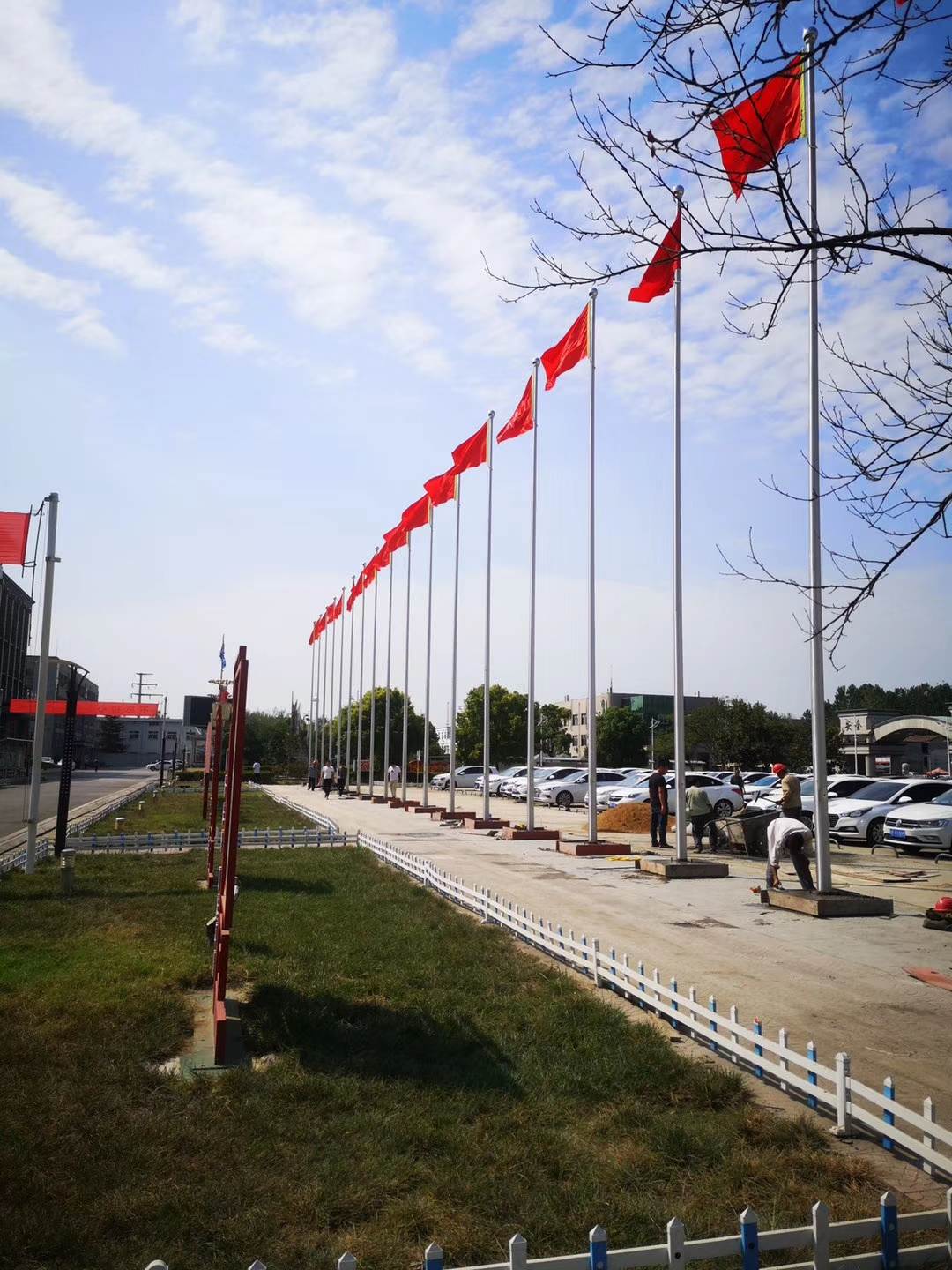 道路旁多杆排列，杆高与间距关系